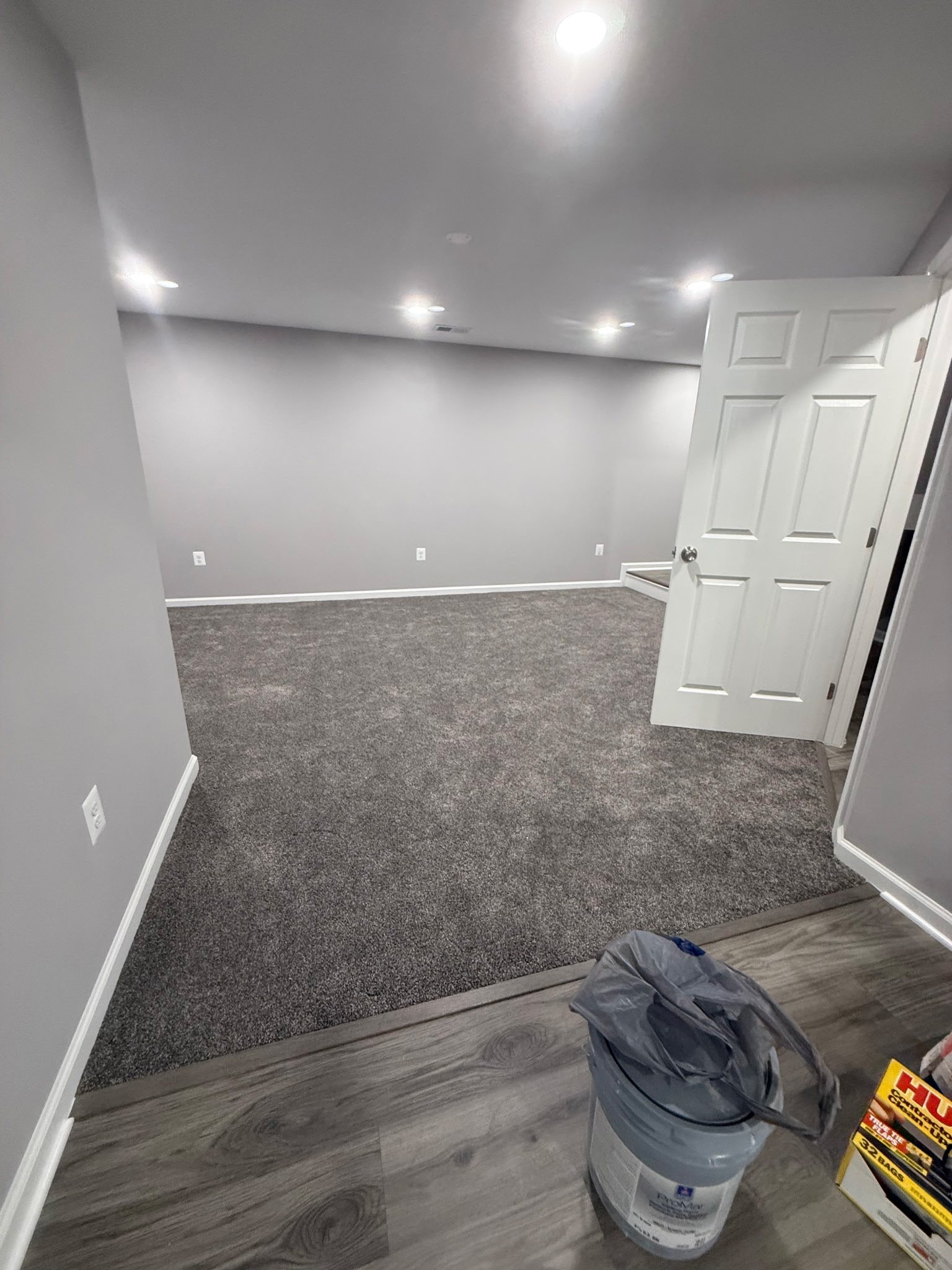 Carpeted finished basement room with painted walls, trim, door, and recessed lights