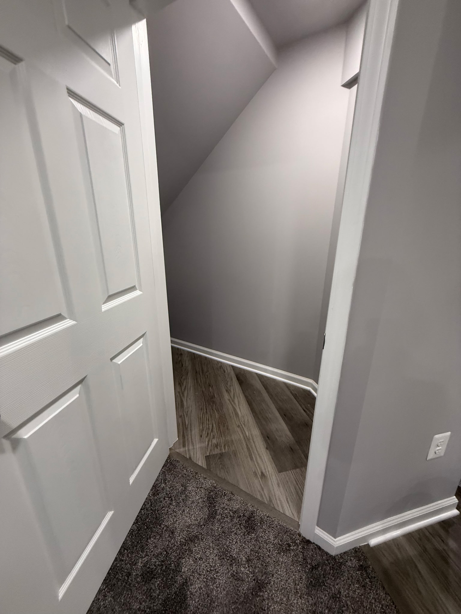 Finished basement doorway with gray walls, white trim, carpet, and plank flooring